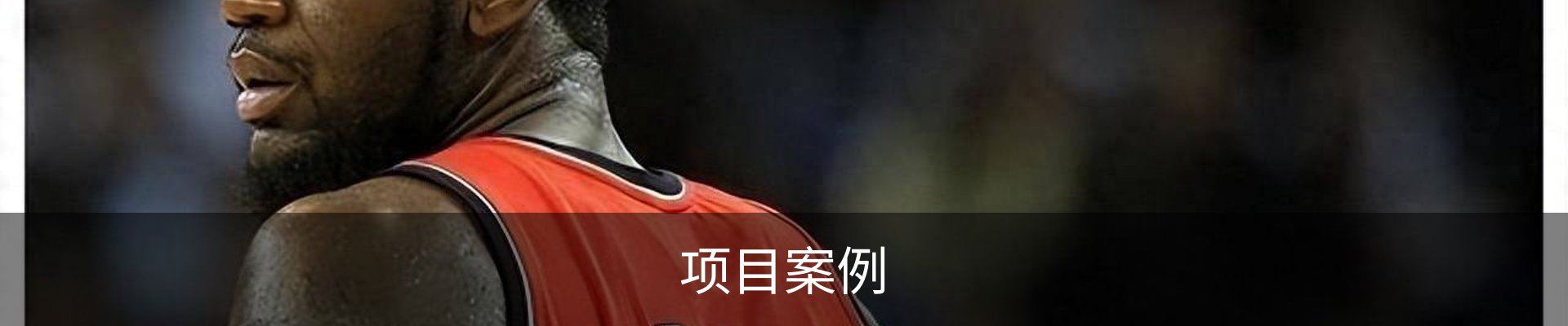 项目案例